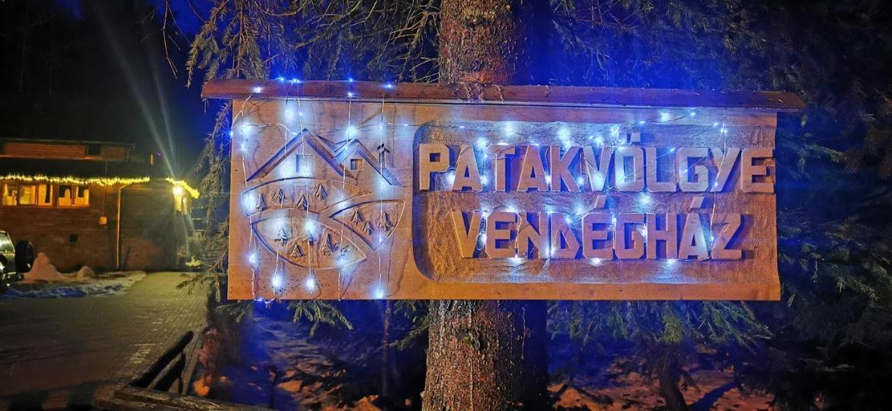 Patakvoelgye Vendeghaz Villa Izvoare  Exteriör bild