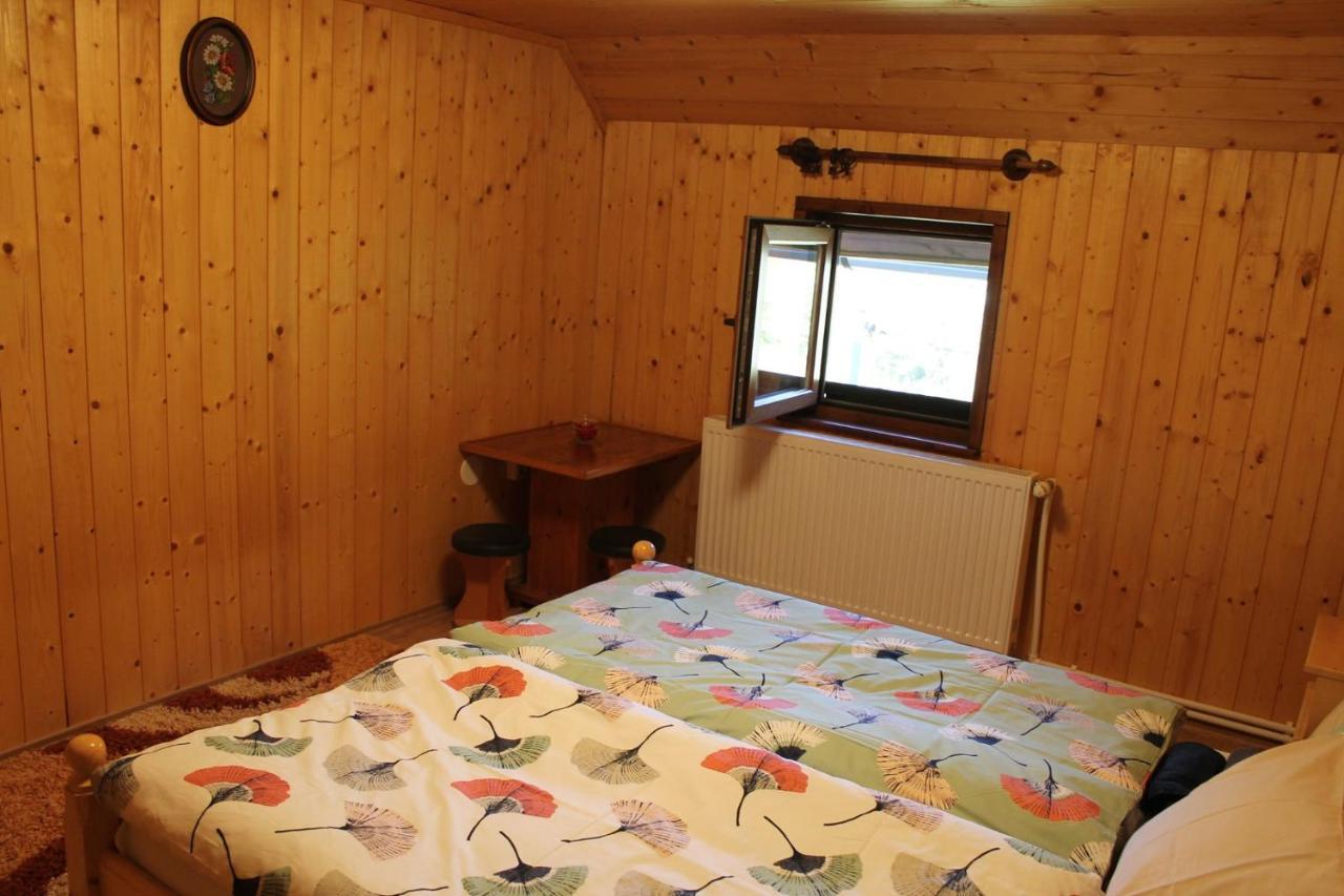 Patakvoelgye Vendeghaz Villa Izvoare  Exteriör bild